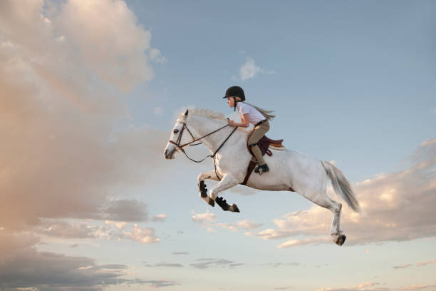 Petite fille sur un cheval blanc qui saute dans les airs