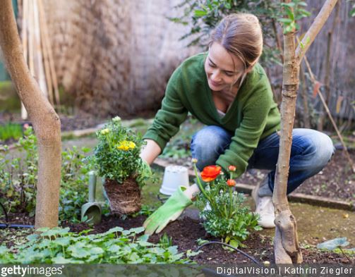 bienfaits-jardinage-sport-doux-jardin